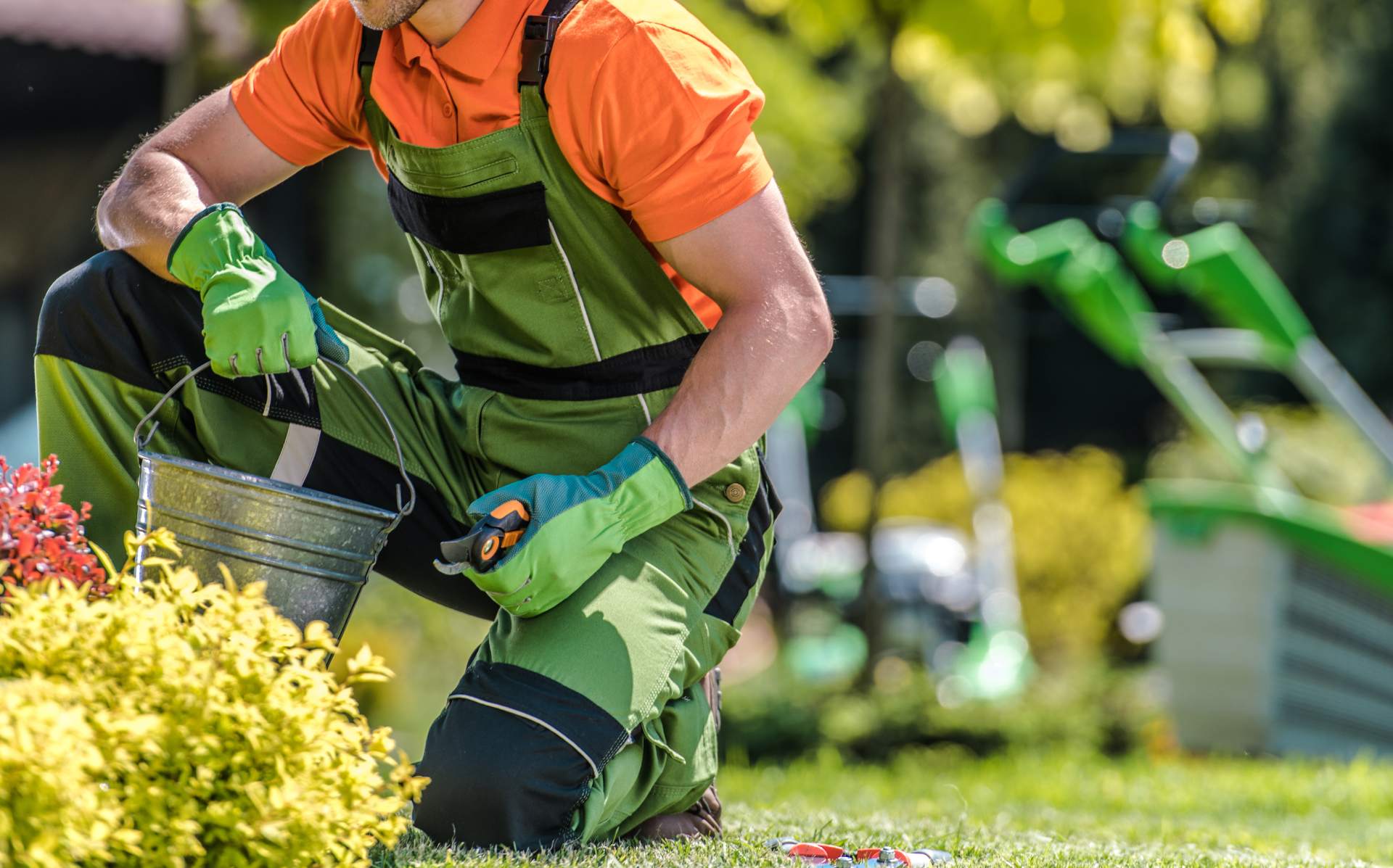 garden-spring-maintenance-performed-by-gardener (1)