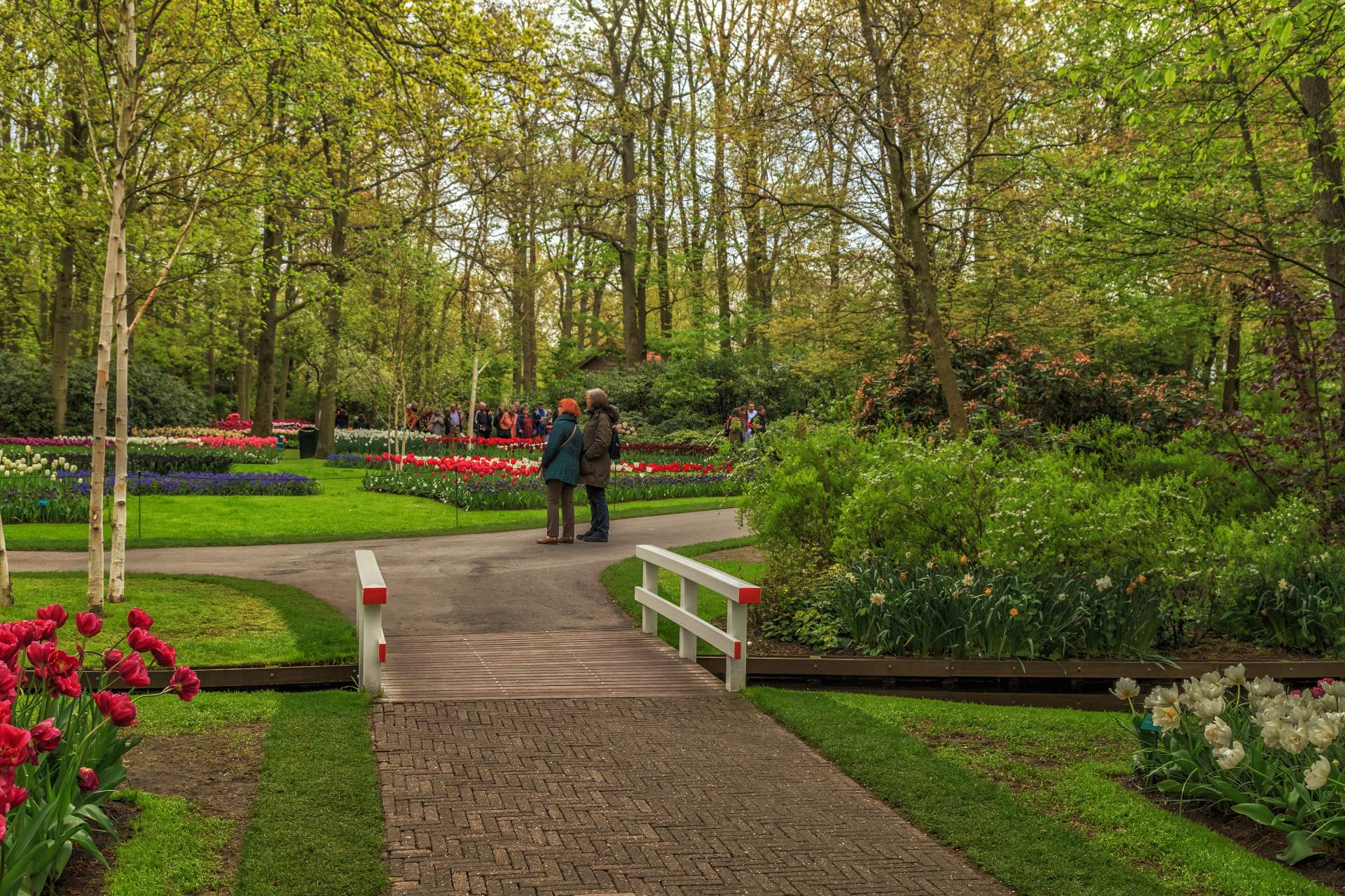 keukenhof-gardens-with-beautiful-spring-flowers-keukenhofin-netherlands (1)